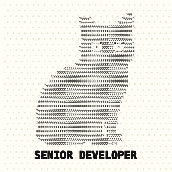 Senior Developer